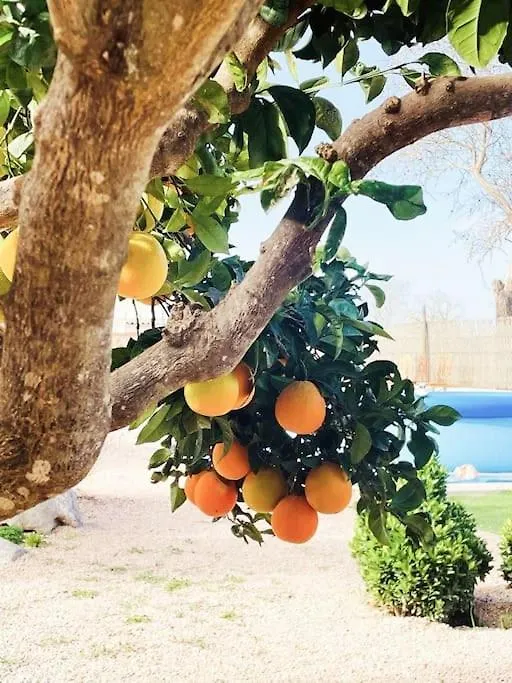 La Gardana, Casa De Campo Mallorquina Porreres Dom wakacyjny